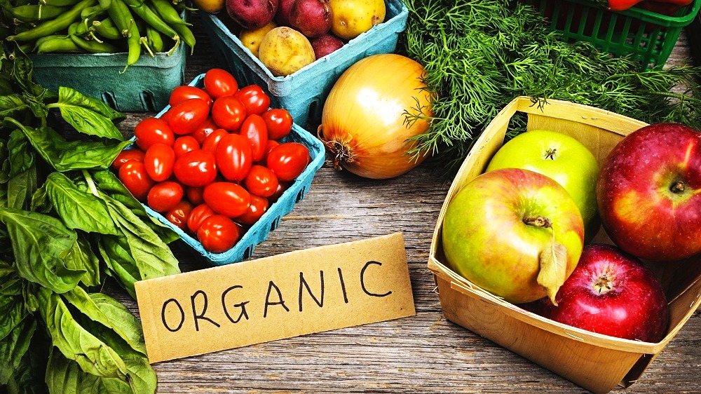 The importance of organic farming