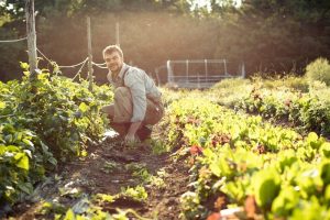 Farm and farmer filtration