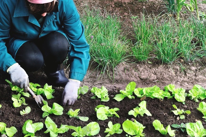 Favoriser les pratiques agricoles ecologiques