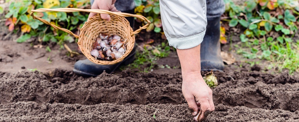 Tout savoir sur la ferme biologique Quebec