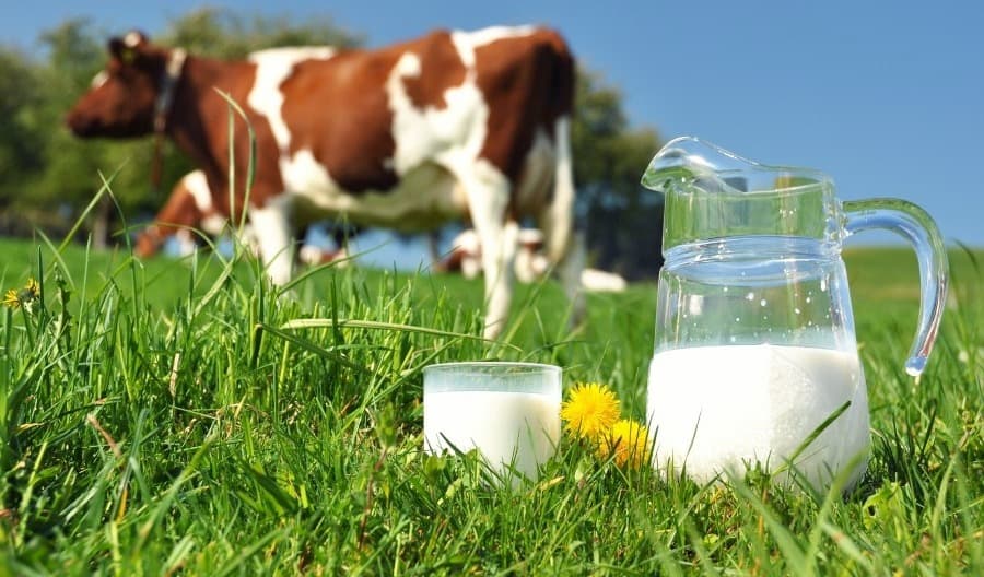 Période de transition et demande de certification biologique